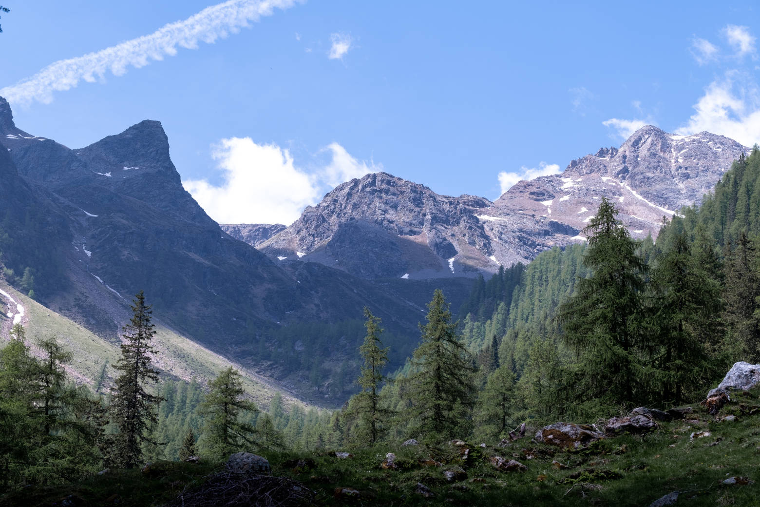 Company Meeting 2022