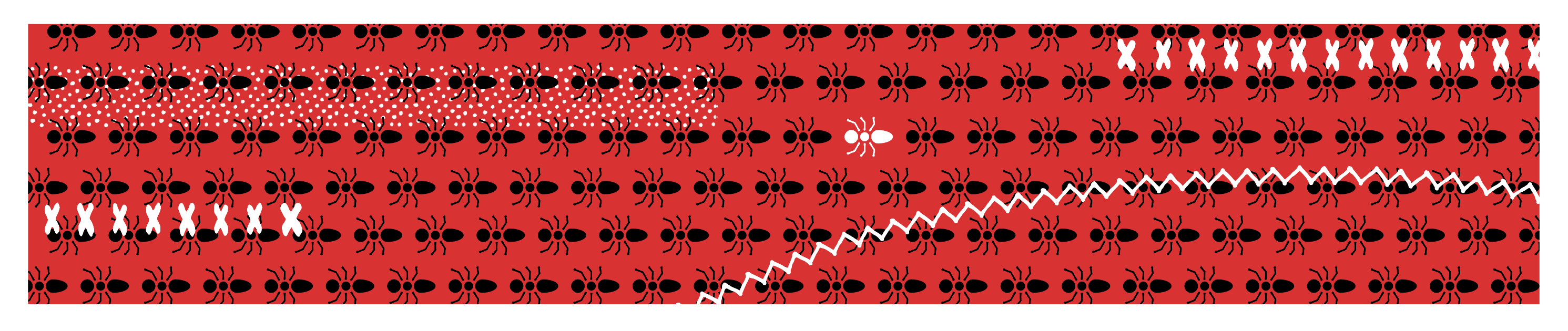 psychological safety